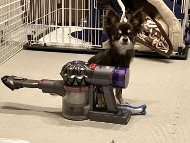 初めまして、こんにちは！